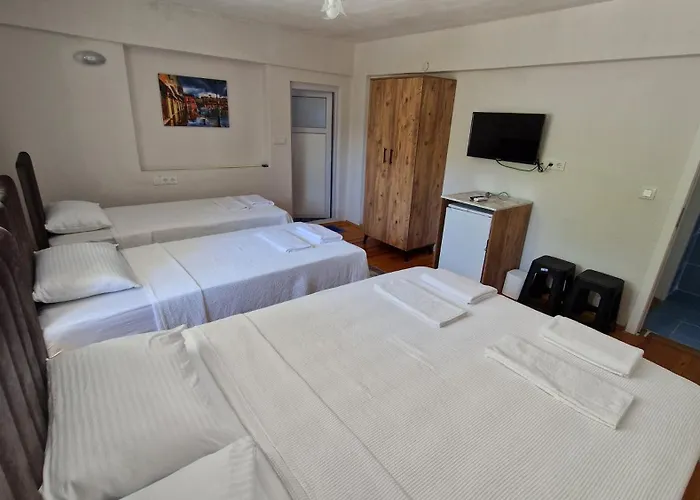 Mery ホームステイ