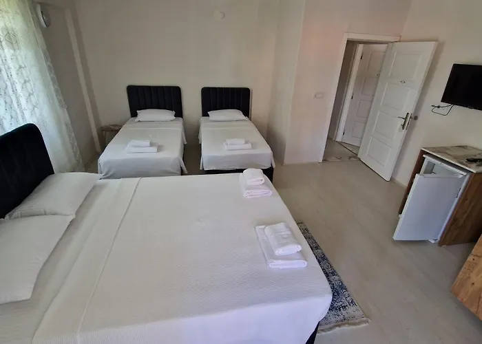 Mery ホームステイ