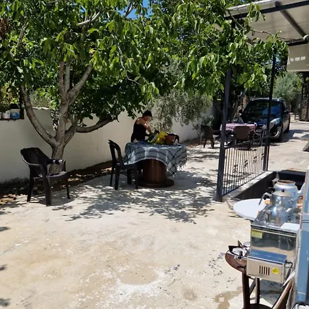 Mery ホームステイ *