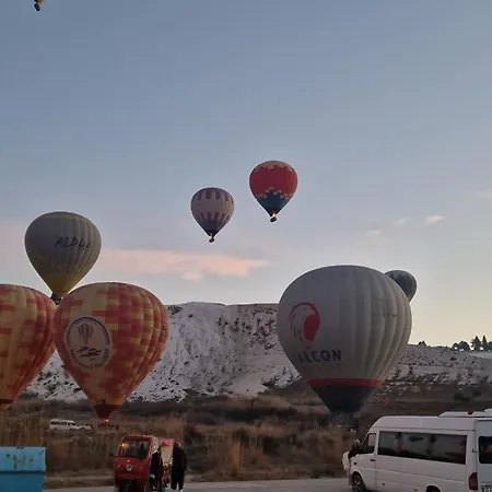 ホームステイ Mery